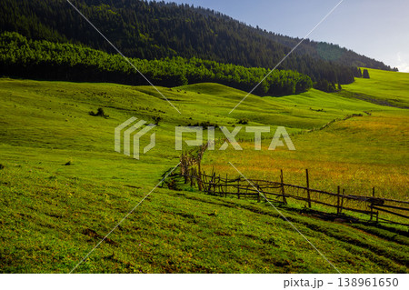 Cows grazing peacefully near wooden fence in rural landscape 138961650