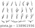 Silhouette twigs. Tree branches, rustic sticks. Hand drawn wood twig, winter bare black branch, forest outline wooden logs. Woodland minimal doodles, Halloween horror vector sketch isolated set 138961936