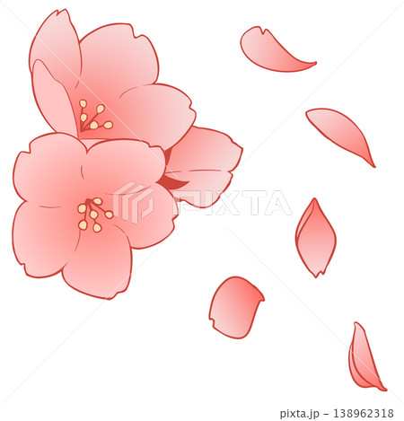 桜の花 138962318