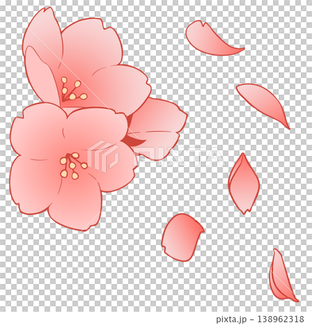 桜の花 138962318