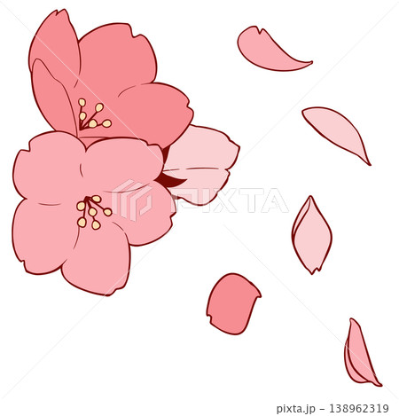桜の花 桜の花 138962319