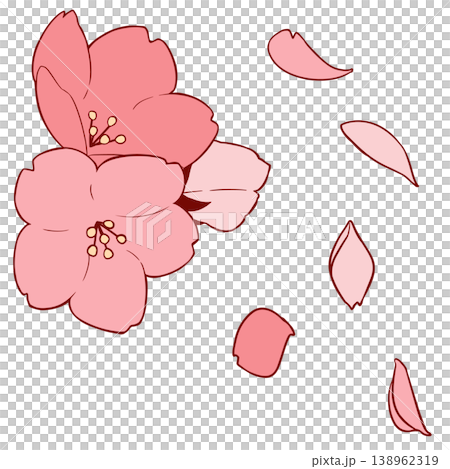 桜の花 桜の花 138962319