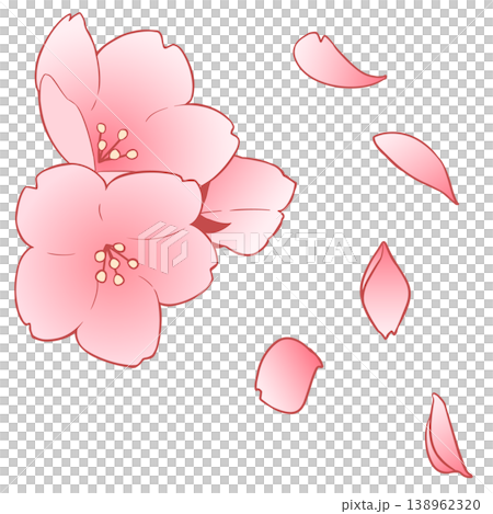 Cherry Blossom	 138962320