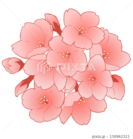 桜の花 138962321