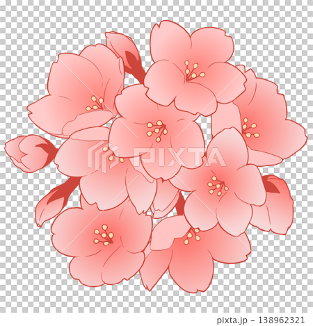 桜の花 138962321