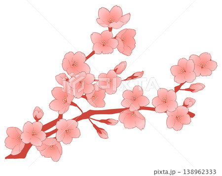 桜の花 138962333