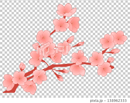 桜の花 138962333