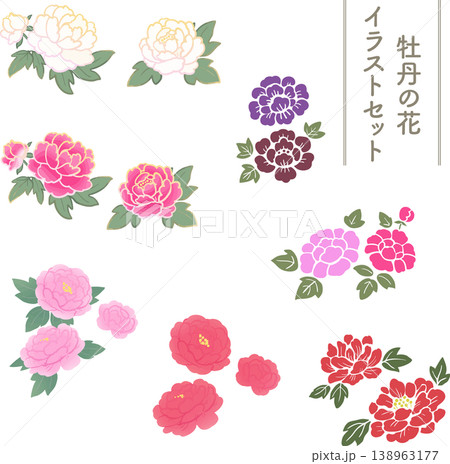 牡丹の花の和風ベクターイラストセット 高級感のあるボタンのフラワー素材 牡丹の花の和風ベクターイラストセット 高級感のあるボタンのフラワー素材 138963177