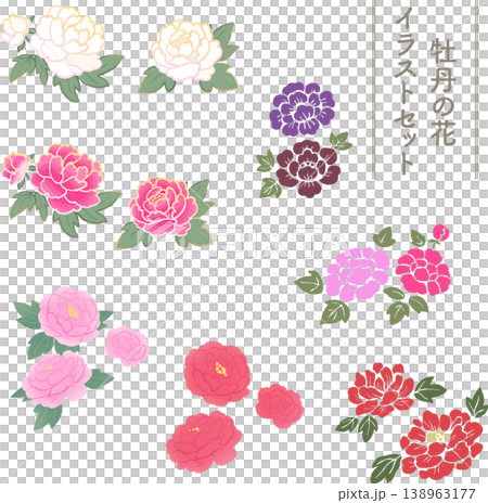 牡丹の花の和風ベクターイラストセット 高級感のあるボタンのフラワー素材 牡丹の花の和風ベクターイラストセット 高級感のあるボタンのフラワー素材 138963177