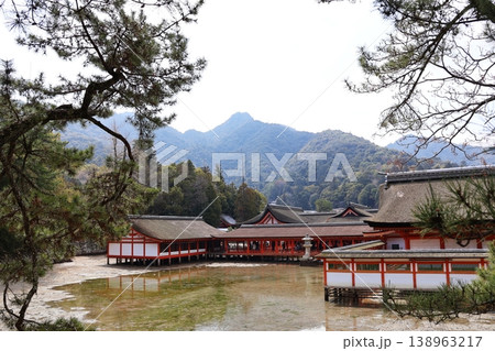 厳島神社の社殿(広島県廿日市市) 厳島神社の社殿(広島県廿日市市) 138963217
