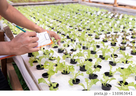 Smart agriculture technology concept - Farmer monitoring organic hydroponic red oak in plant nursery farm. Smart agriculture technology. Smart agriculture technology concept - Farmer monitoring organic hydroponic red oak in plant nursery farm. Smart agriculture technology. 138963641