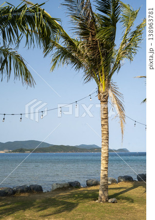 A tropical seaside scene with a tall palm tree, calm blue water, and distant islands under a clear sky, creating a peaceful and relaxing coastal atmosphere. 138963781