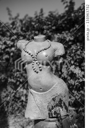 Black and white photograph of a classical-style female torso sculpture placed outdoors, highlighting texture, form and artistic details against a blurred natural background. 138963782