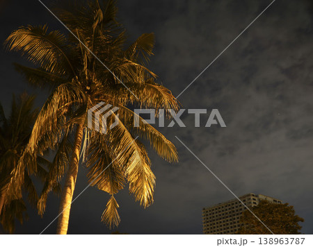 Illuminated palm tree against a dramatic cloudy night sky with a modern building in the background, creating a warm and atmospheric tropical city scene. Illuminated palm tree against a dramatic cloudy night sky with a modern building in the background, creating a warm and atmospheric tropical city scene. 138963787