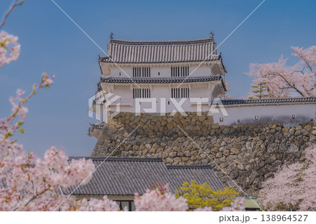 桜に囲まれたカの櫓 138964527
