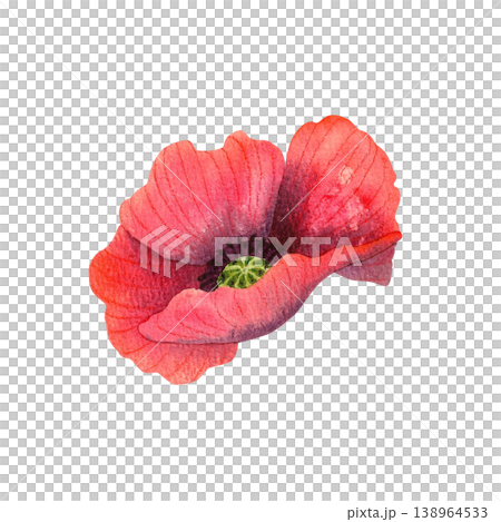 Red poppy, isolated watercolor illustration. Colorful wildflowers. Hand drawn botanical illustrations in a simple style for invitations, greeting cards, and packaging. Red poppy, isolated watercolor illustration. Colorful wildflowers. Hand drawn botanical illustrations in a simple style for invitations, greeting cards, and packaging. 138964533