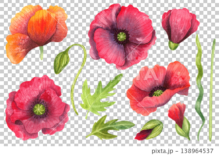 Red poppies, flower buds, and green leaves, isolated watercolor set. Colorful wildflowers and plants. Hand drawn botany in a simple, vibrant style for invitations, greeting cards, and packaging. Red poppies, flower buds, and green leaves, isolated watercolor set. Colorful wildflowers and plants. Hand drawn botany in a simple, vibrant style for invitations, greeting cards, and packaging. 138964537