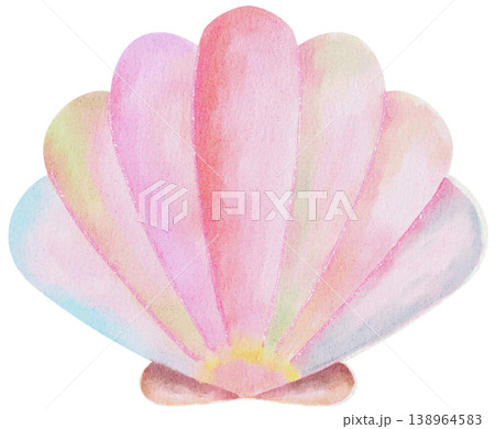 Pastel Seashell Watercolor Illustration Soft Ocean on transparent background Pastel Seashell Watercolor Illustration Soft Ocean on transparent background 138964583