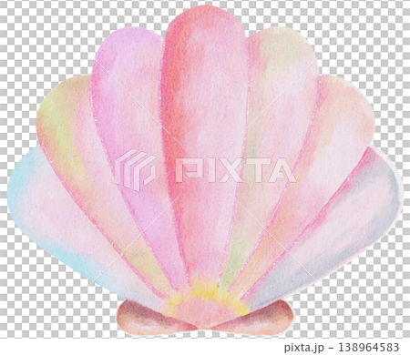 Pastel Seashell Watercolor Illustration Soft Ocean on transparent background Pastel Seashell Watercolor Illustration Soft Ocean on transparent background 138964583