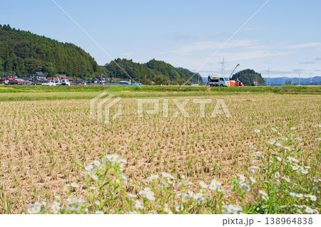 稲刈りの風景 稲刈りの風景 138964838