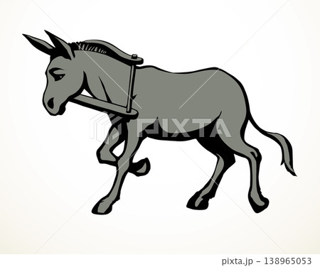 Vector drawing. Cute old mule Vector drawing. Cute old mule 138965053
