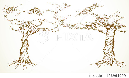 Vector background. Frame from trees 138965069