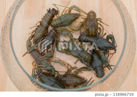 Crayfishes in aquarium at summer local food market - close up top view Crayfishes in aquarium at summer local food market - close up top view 138966739