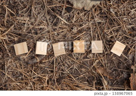 Arrangement of Wooden Blocks on Natural Ground Arrangement of Wooden Blocks on Natural Ground 138967065