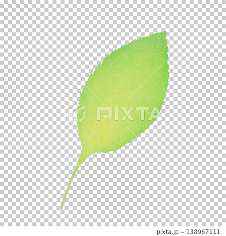 Simple hand-drawn illustration of a single leaf. Simple hand-drawn illustration of a single leaf. 138967111