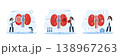 Human kidney. Disease diagnosis and treatment by specialist for healthcare and medicine. Set of vector illustration 138967263
