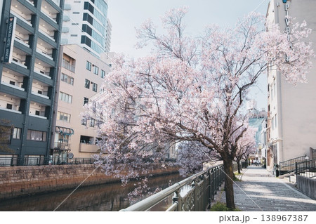 名古屋市、春の納屋橋の風景 名古屋市、春の納屋橋の風景 138967387