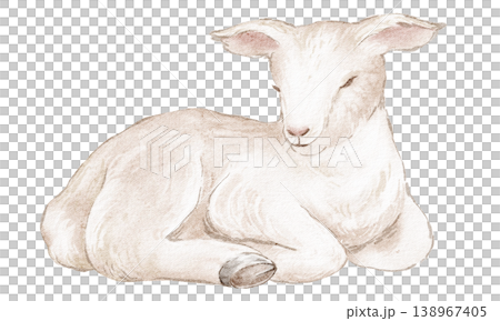 Lamb watercolor hand painted illustration of cute baby sheep animal. Lamb isolated drawing with peaceful resting pose and white wool detail. Design element for Easter card, print and poster use. 138967405