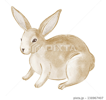 Rabbit hand painted watercolor illustration of baby bunny and Easter animal. Rabbit isolated clipart object with simple side view style. Suitable for holiday, children and greeting card design. Rabbit hand painted watercolor illustration of baby bunny and Easter animal. Rabbit isolated clipart object with simple side view style. Suitable for holiday, children and greeting card design. 138967407