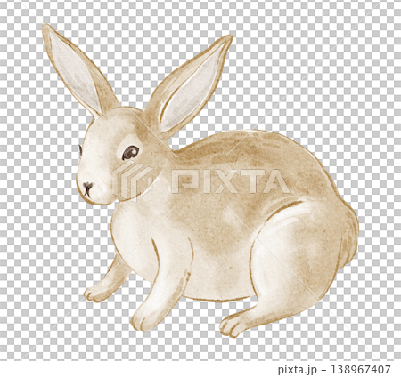 Rabbit hand painted watercolor illustration of baby bunny and Easter animal. Rabbit isolated clipart object with simple side view style. Suitable for holiday, children and greeting card design. Rabbit hand painted watercolor illustration of baby bunny and Easter animal. Rabbit isolated clipart object with simple side view style. Suitable for holiday, children and greeting card design. 138967407