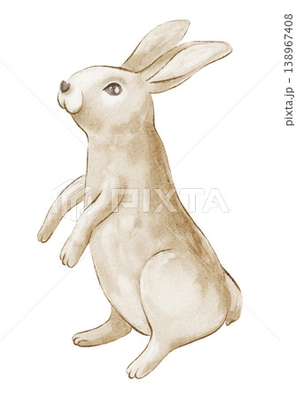 Easter rabbit watercolor hand painted illustration of cute bunny animal. Rabbit isolated drawing with brown fur and standing pose detail. Design element for greeting card, postcard and nursery print. 138967408