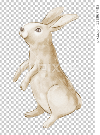 Easter rabbit watercolor hand painted illustration of cute bunny animal. Rabbit isolated drawing with brown fur and standing pose detail. Design element for greeting card, postcard and nursery print. 138967408