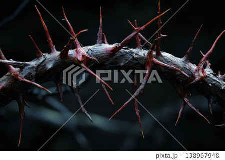 Close up of a rugged crown of thorns against dark background 138967948