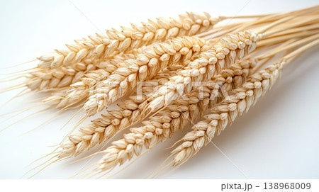 Bundle of ripe golden wheat ears lying on a clean white background Bundle of ripe golden wheat ears lying on a clean white background 138968009