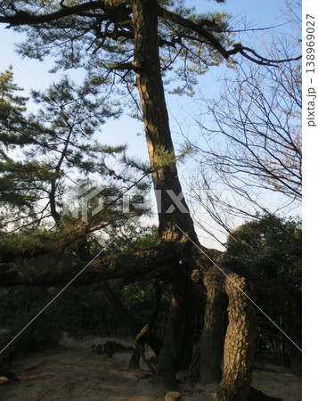 2014年・香川・観音寺・八幡・風景・琴引公園・其の百五 2014年・香川・観音寺・八幡・風景・琴引公園・其の百五 138969027