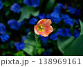 赤と青 138969161