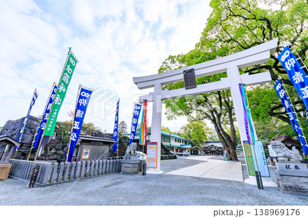 春の加藤神社　熊本県熊本市 138969176
