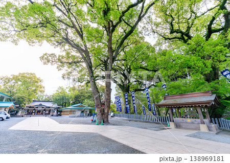 春の加藤神社 熊本県熊本市 春の加藤神社 熊本県熊本市 138969181
