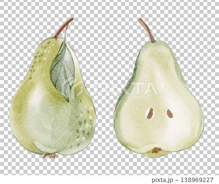 Pear illustration watercolor hand painted. Fresh, organic pear design with vibrant green hues. Perfect for food packaging, menus and health focused designs. 138969227