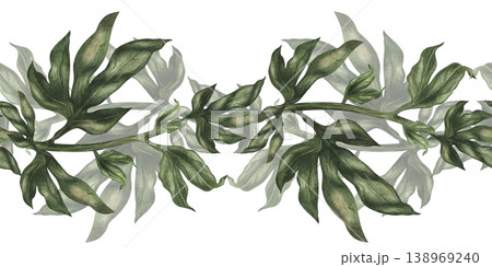 Seamless border of green peony branches isolated on white. Watercolor botanical greenery with soft natural texture for floral compositions, wedding design, branding, packaging, elegant botanical decor Seamless border of green peony branches isolated on white. Watercolor botanical greenery with soft natural texture for floral compositions, wedding design, branding, packaging, elegant botanical decor 138969240