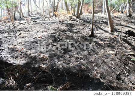 登山道 火事 跡 登山道 火事 跡 138969387