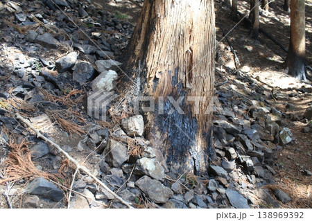 登山道 火事 跡 登山道 火事 跡 138969392