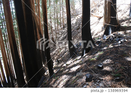 登山道　火事　跡 138969394