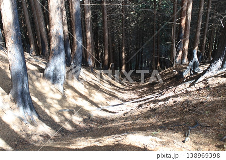 登山道 火事 跡 登山道 火事 跡 138969398