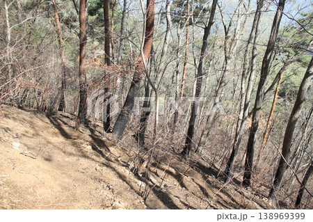 登山道 火事 跡 登山道 火事 跡 138969399