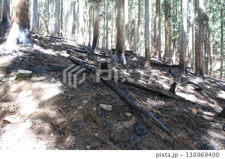 登山道 火事 跡 登山道 火事 跡 138969400